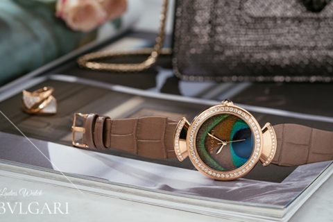 专属妳的斑斓羽扇｜宝格丽Divas’ Dream Peacock