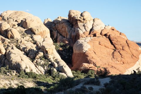 沙漠中的潜水表